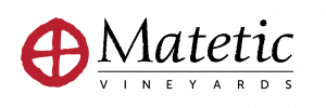 Logo-Matetic-02